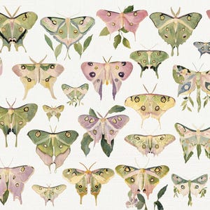 May include: A collection of watercolor illustrations of butterflies in various shades of green, pink, and yellow. The butterflies are depicted with intricate details and delicate wings.