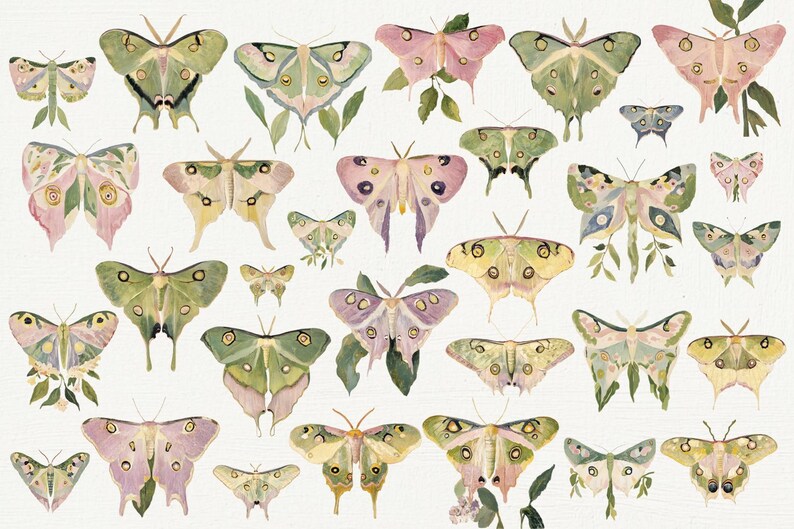 May include: A collection of watercolor illustrations of butterflies in various shades of green, pink, and yellow. The butterflies are depicted with intricate details and delicate wings.