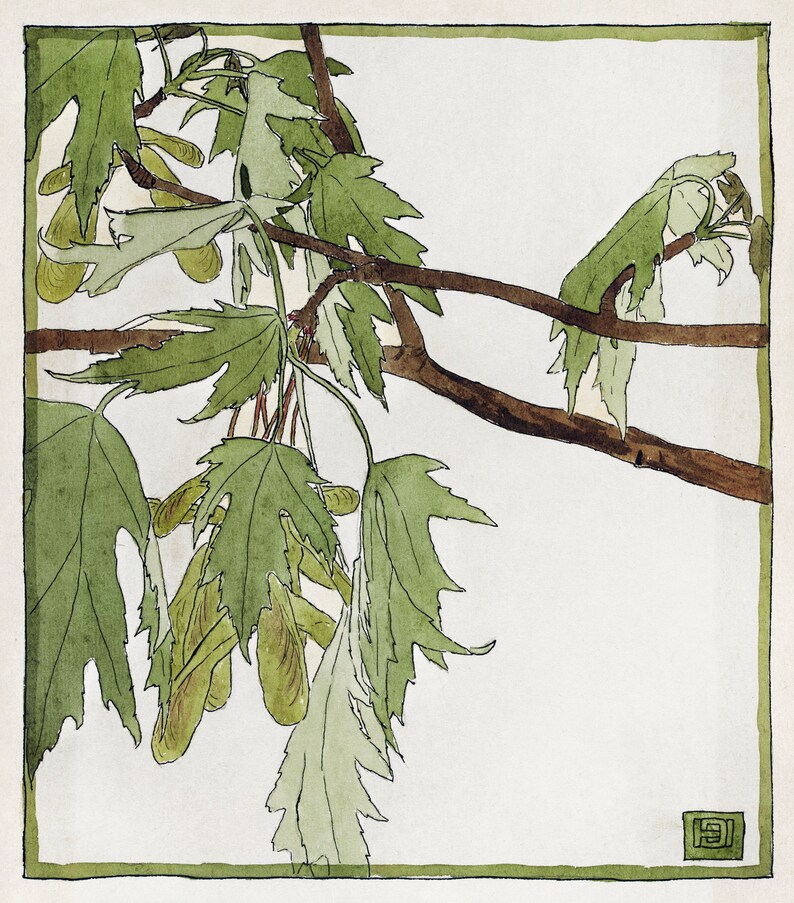 Op de afbeelding: Een aquarel van een tak van een esdoornboom met groene bladeren en zaaddozen. De tak is bruin en de bladeren zijn lichtgroen. De zaaddozen zijn lichtbruin en hangen aan de tak.