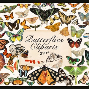 370+ Borboletas Cliparts HQ Vintage PNG Elementos Colagem Arte Borboleta Conjunto Mariposa Insetos Adesivos Projetos DIY Scrapbooking Download Digital