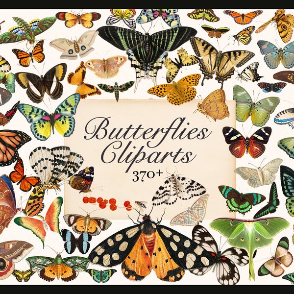 370+ Butterflies Cliparts HQ Vintage PNG Elements Collage Art Butterfly Set Moth Bugs Stickers DIY Projects Scrapbooking Digital Download