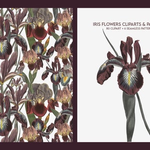 May include: A set of 6 seamless patterns and 80 clipart images featuring dark purple iris flowers with yellow centers. The flowers are arranged in a repeating pattern on a white background. The clipart images show individual iris flowers in various poses.