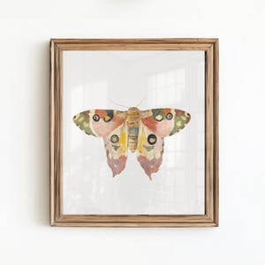 May include: A framed print of a watercolor painting of a butterfly with pink, orange, yellow, green, and brown wings.