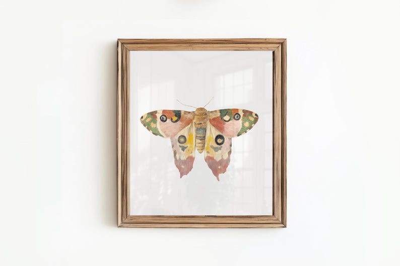 May include: A framed print of a watercolor painting of a butterfly with pink, orange, yellow, green, and brown wings.
