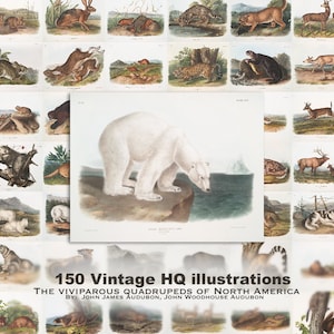 150 cuadrúpedos vivíparos de Norteamérica. Ilustraciones de animales raros. Pósters de pared. Pósters escolares. Arte mural imprimible.