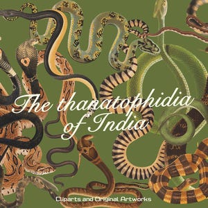 Op de afbeelding: Een olijfgroene achtergrond met een verzameling diverse slangen in bruine, zwarte, gele en groene tinten. De tekst "The thanatophidia of India" staat centraal in wit cursief schrift, met "Cliparts and Original Artworks" onderaan.