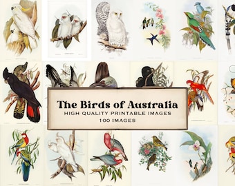 The Birds of Australia  Part 1 - 100 High-Quality Printable Images John Gould Digitally enhanced  Elizabeth Gould Illustrations
