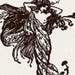 Lilith