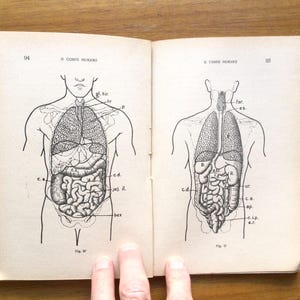 Può includere: Un'illustrazione anatomica in bianco e nero del corpo umano, che mostra gli organi interni. L'immagine è tratta da un libro di testo vintage e include etichette per i diversi organi in portoghese.