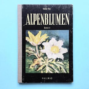 Könnte beinhalten: Vintage-Buch mit dem Titel "Alpenblumen Band II" von Walter Rytz. Das Cover zeigt einen schwarzen Hintergrund mit weißem Text und eine Blumenillustration mit gelben und weißen Blumen. Das Buch hat einen grauen Rücken und liegt vor einem hellblauen Hintergrund.