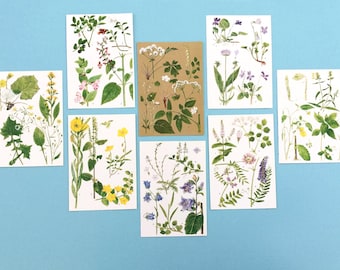 Vintage Flower Book Pages, Botanical Prints for Collage, Junk Journal (Set of 8)