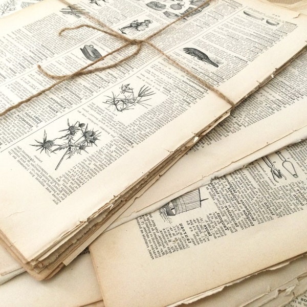 Papier Ephemera Packung, 'Lucky Dip' Set von 25 alten Buchseiten aus dem Larousse-Wörterbuch 1909, Collage, veränderte Kunst.