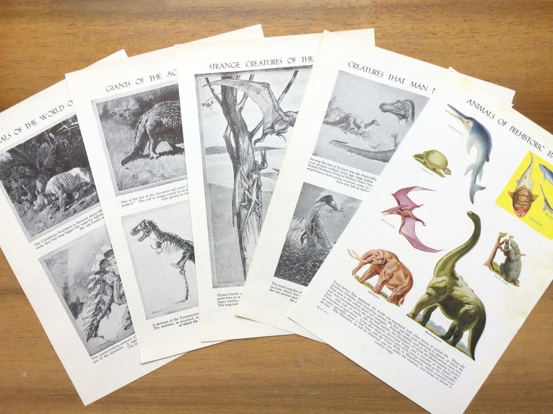 Vintage Prehistoric Mammals, Extinct Animals, Paleontology, Prehistory ...