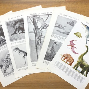 Mamíferos pré-históricos antigos, animais extintos, paleontologia, arte de parede da pré-história.