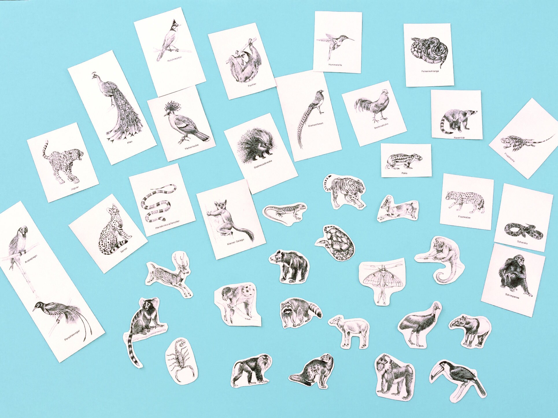 Black and white art small animal prints for collage junk Etsy