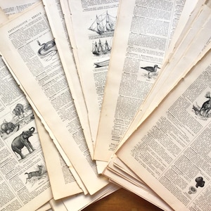 Pacote de itens efêmeros em papel, 25 páginas de livros franceses antigos do dicionário Larousse de 1917, colagem, arte alterada.
