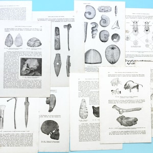 Páginas antiguas de prehistoria, esqueletos, fósiles, paleontología, cultura de la edad de piedra, arte mural científico.