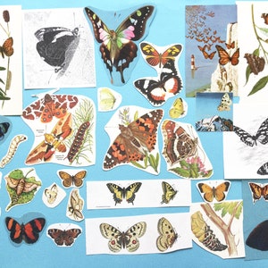 Kit de colagem de insetos, borboletas e mariposas, pacote de coisas efêmeras de papel, para diário de lixo, álbum de recortes, projeto escolar.