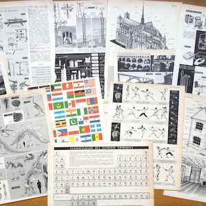 Páginas de dicionário vintage francês, impressões litográficas, Petit Larousse, pacote de itens efêmeros, suprimentos para diários de segunda mão.