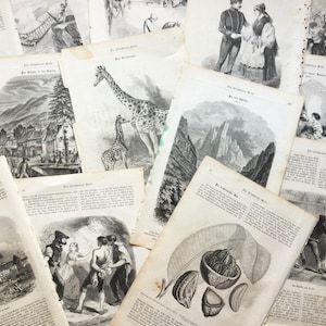 Páginas de livros antigos de 1857. Litografias, texto gótico, itens de papel para colagem, diário, arte alterada.