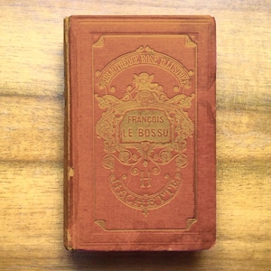 Antique French book, &#39;François le Bossu&#39;, Illustrated children&#39;s book. 1872.