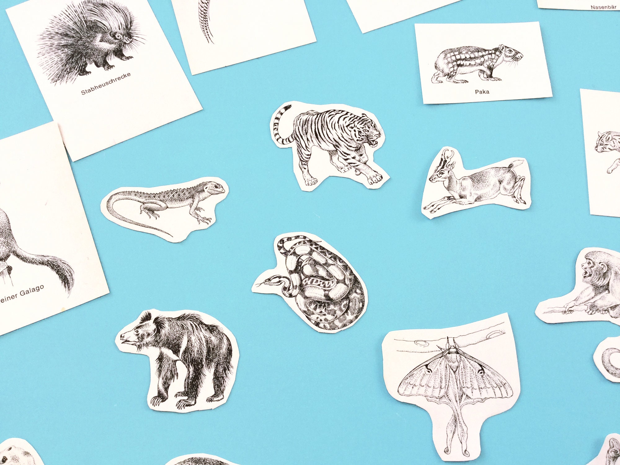 Black and white art small animal prints for collage junk Etsy