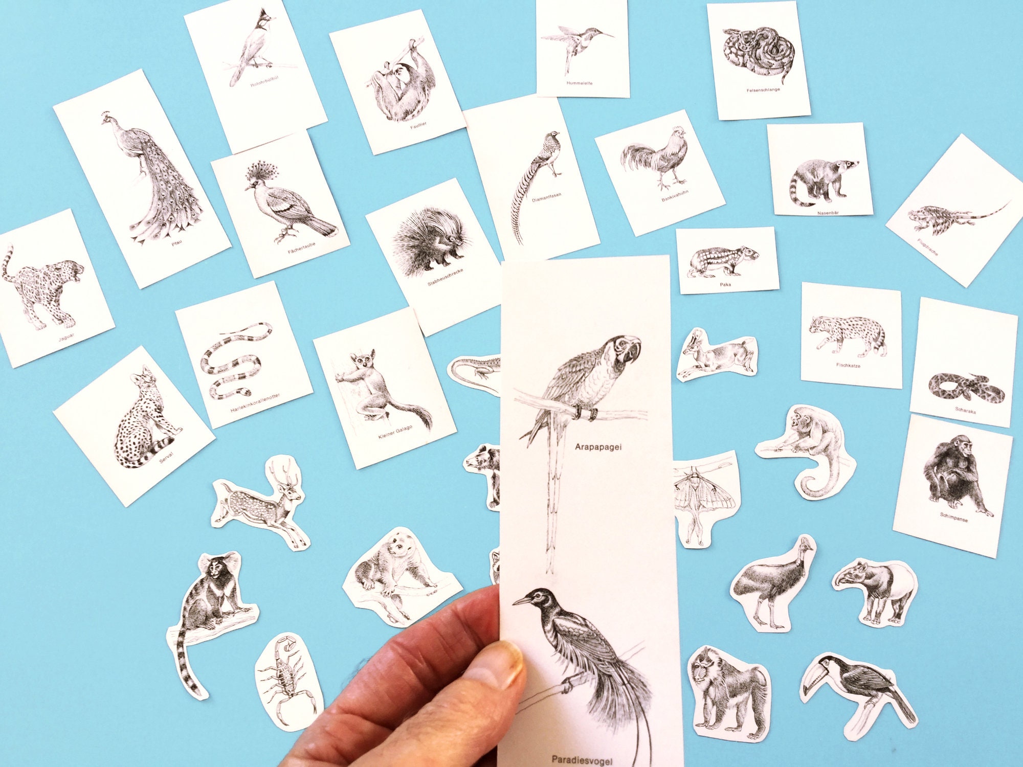 Black and white art small animal prints for collage junk Etsy