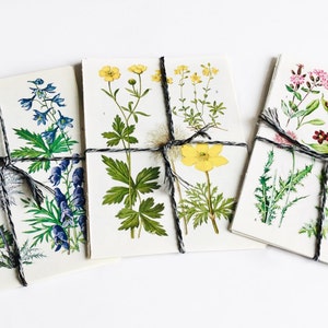 Vintage Blumenseiten, 1960er Jahre Buchseiten, 10er Set für Collage, Scrapbooking oder Kartengestaltung, Einrahmung