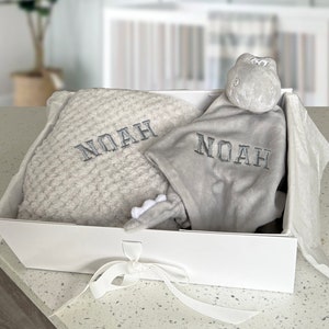 Personalisierte Decke & Babytröster Geschenk, Baby Geschenk, Baby Junge Geschenk, personalisiertes Baby-Dusche-Geschenk, Dinosaurier Tröster