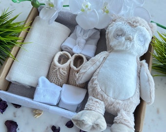 Baby Shower  baby gift set, new baby boy gift, new baby girl gift, newborn gift box, new baby gift box, baby shower gift, owl baby gift