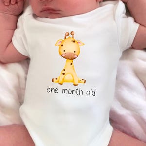 Baby Monthly Milestone Bodysuits set, Baby Shower gift, Milestone Onesies, Baby gifts, Baby Hamper, Baby Girl, Baby Boy, Baby Vests
