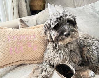 Personalized Dog Cushion | Custom Pet Pillow | Embroidered Dog Name Cushion | Dog Memorial Gift | Pet Lover Home Decor