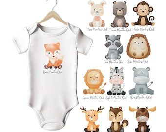 Maandelijkse babymijlpaal, mijlpaal baby groeit voor pasgeboren baby, cadeau kraamcadeau