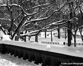Central Park, Snow, Winter, New York, Trees