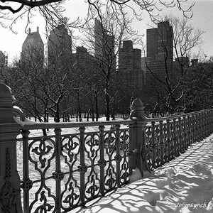 Central Park, Winter, Fence Line, Sneeuw in Central Park, New York