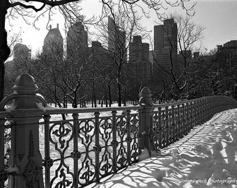 Central Park, Winter, Fence Line, Snow in Central Park, New York