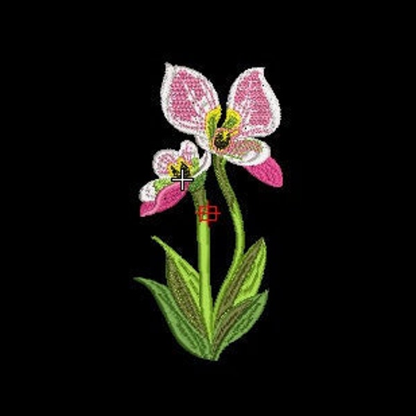 Lady's Slipper Orchids, Embroidery File, Machine embroidery designs, file - 2 different sizes INSTANT DOWNLOAD