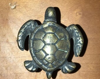 Turtle Drawer Pulls Etsy