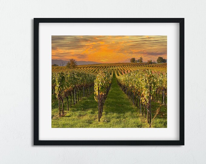 Vineyard Landscape Picture for your Office, Living Room or Bedroom, Digital Pint Wall Hanging, Great Scenery Print - Digital Download