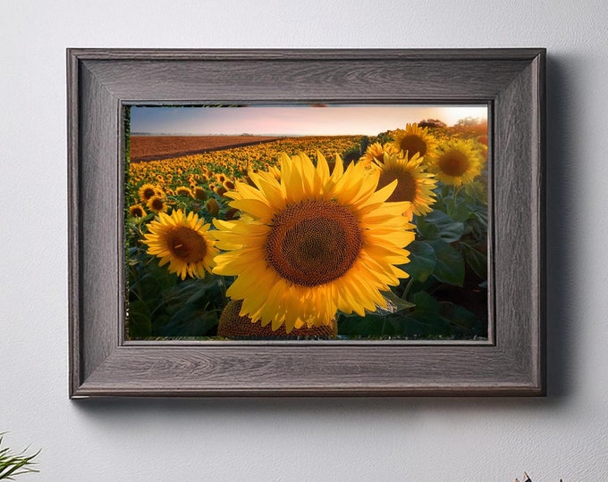 Sunflower Landscape Digital Print | Instant Download | Bright & Cheerful Floral Art for Living Room, Kitchen, or Office Décor
