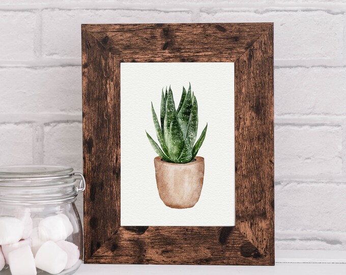 Wall Art Instant Print  -  House Plant Watercolor illustration, Digital Wall Art Print, Picture for, Kitchen, Living Room, Home Décor
