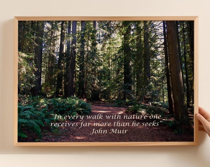 John Muir Forest Print With Quote  | Nature Wall Art  (Digital Download)