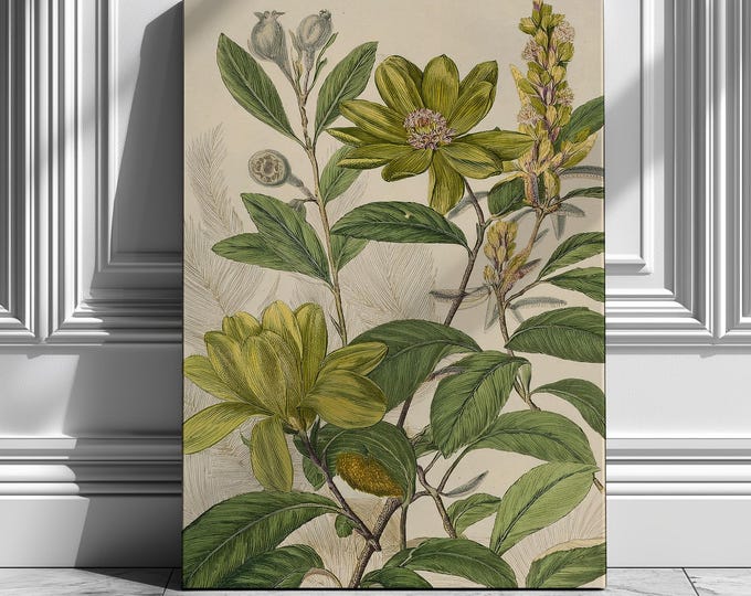 Green Botanical Canvas Art | Vintage Chartreuse Flower Print | Antique Magnolia Illustration for Modern or Classic Home Decor | Wall Art