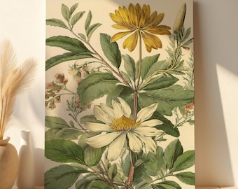 Antique Botanical Canvas Print | Daisy & Wildflower Wall Art for Living Room or Bedroom | Unframed Floral Illustration | High-Quality Canvas