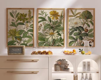 Set of 3 Vintage Botanical Prints | Greenery Gallery Wall Art | Digital Download | Antique Floral Illustrations for Instant Home Décor
