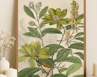 Botanical Illustration Print: Elegant Floral Art | Nature Inspired Print for Peaceful Home Décor