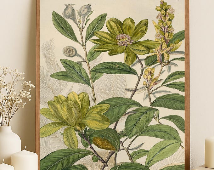 Botanical Illustration Print: Elegant Floral Art | Nature Inspired Print for Peaceful Home Décor