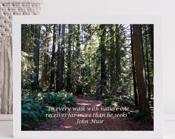 John Muir Forest Quote Print | Nature Lover Wall Art | Inspirational Outdoors Decor