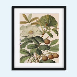 Vintage Botanical Art Print, Boho botanical décor - Digital Download