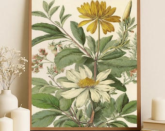 Elegant Floral Print Wall Art for Tranquil Home Décor, Wall Art Print for, Living Room or Bedroom or Office Home Décor